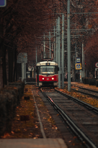 Работа 4119703