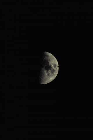 Работа 4119702