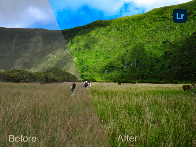 Nature, color adjustment