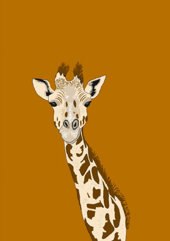 Giraffee Adobe Draw