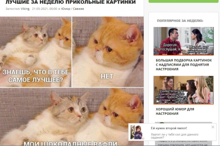 я устал,прикольные картинки