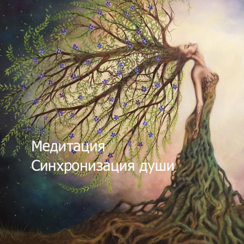 Медитация. Синхронизация души