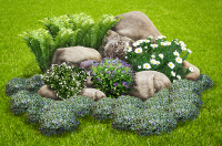 Фотоколлаж. Композиция из камней и растений