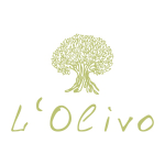 Работа 2035035