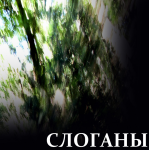 Слоганы