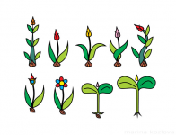 Ростки сказочных цветов