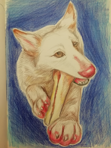 Работа 3772530