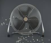 fan