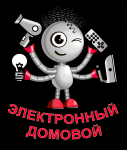 Лого Электороный домовой