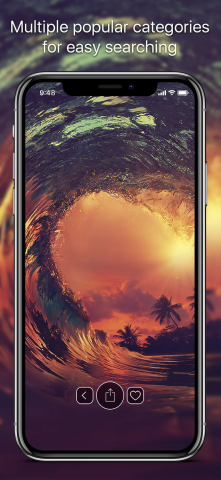 FLY Wallpapers Themes Pro