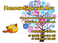 Работа 2579698