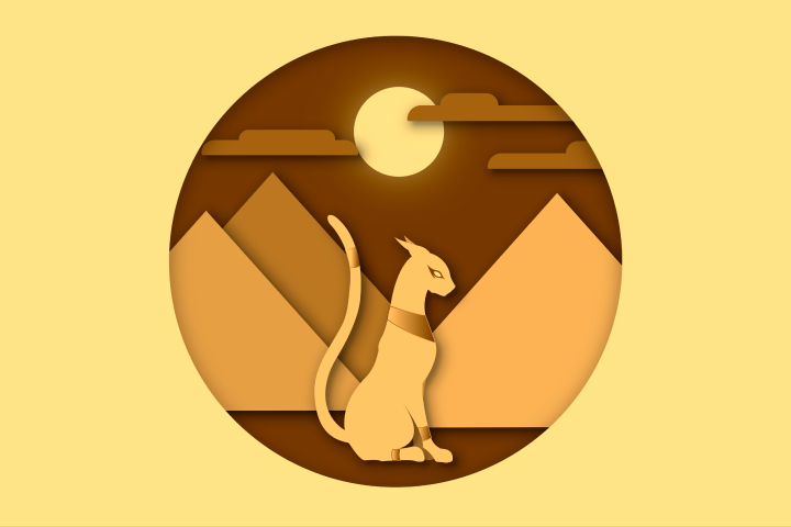 Egyptian cat