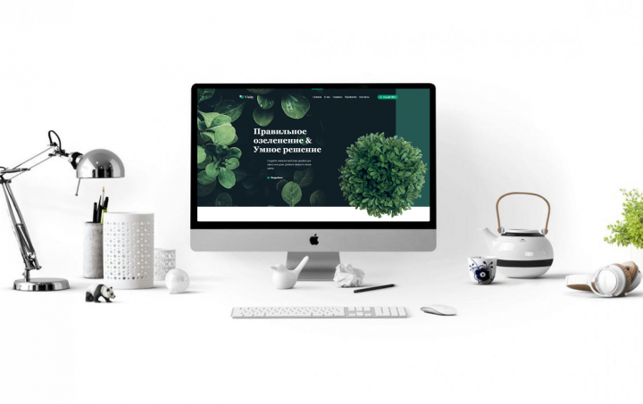 Сайт об озеленении офисов и домов