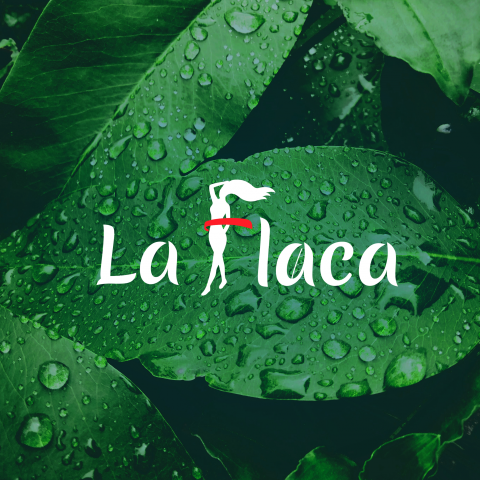Лого для компании LaFlaca работающей с диетами