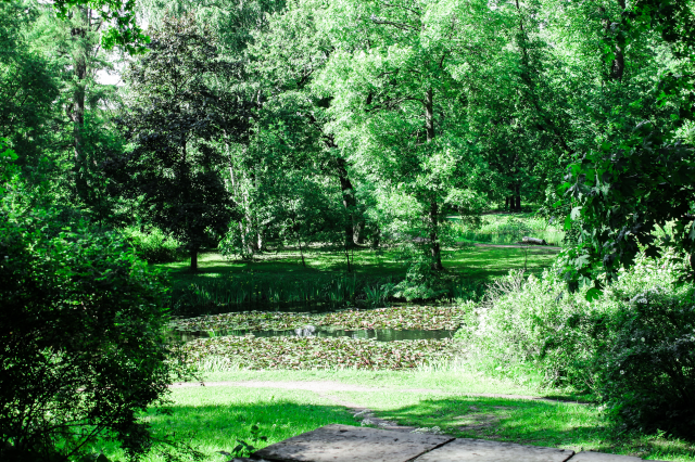 Рисуя сюжеты