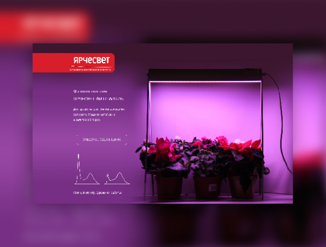 Фитосветильники