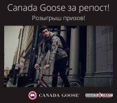 Баннер Canada goose