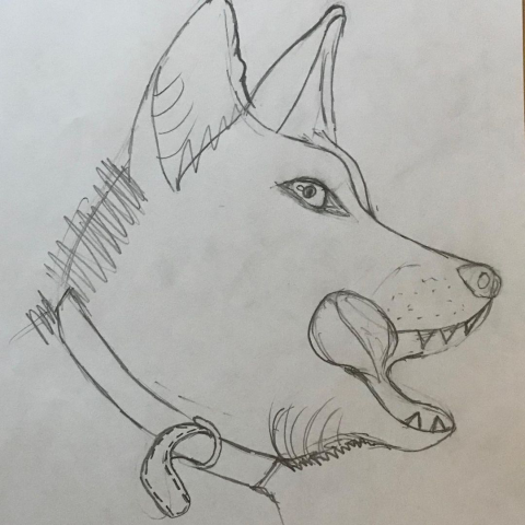dOGGY