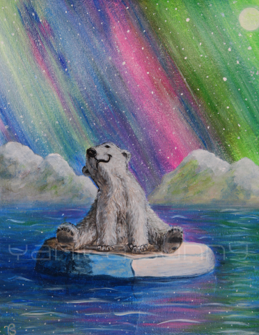 Медвежонок Пёрышко созерцает северное сияние...