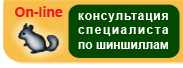 Кнопка для сайта