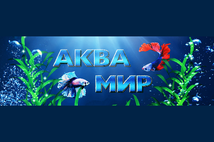 Обложка для сообщества ВК "Аква Мир"