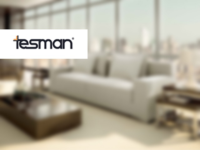 Лендинг для компании Tesman