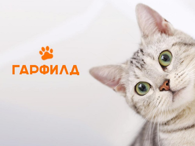 Зоомагазин