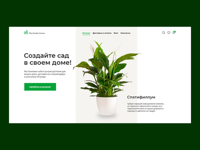 Интернет-магазин домашних растений
