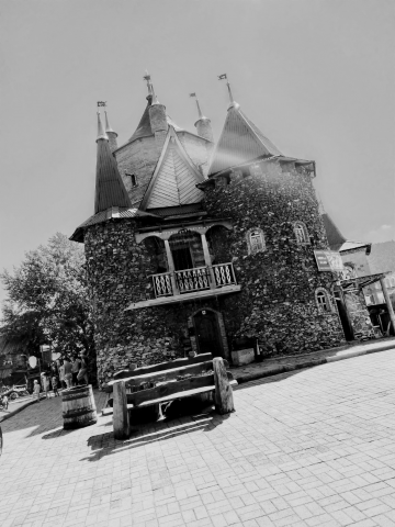 Фотография