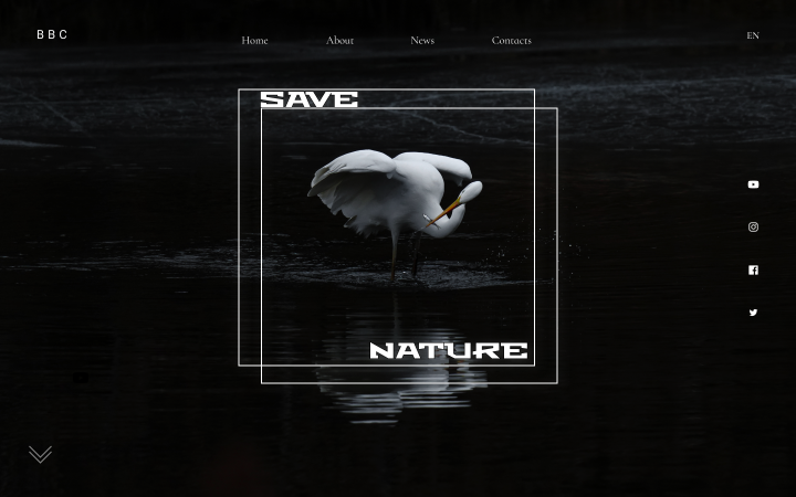 First screen of the site (concept) Save Nature
