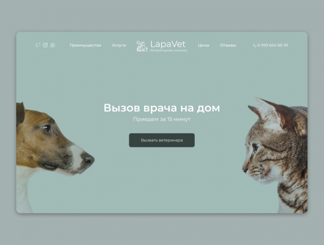 Проект для ветеринарной клиники