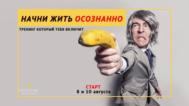 Работа 3235504