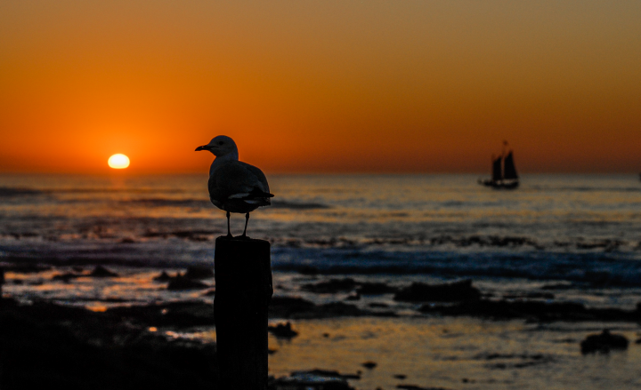 Проект для документального фильма