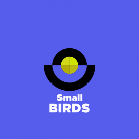 Логотип Small BIRDS