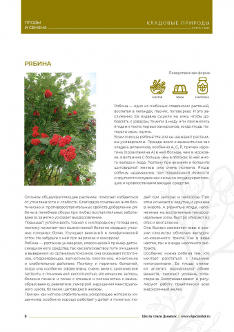 фитоброшюра для размещения на сайте