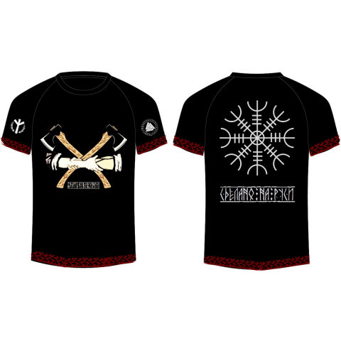 Братья викинги