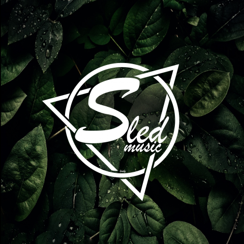 Логотип для проекта "SledMusuc"