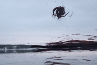 Работа 2786106