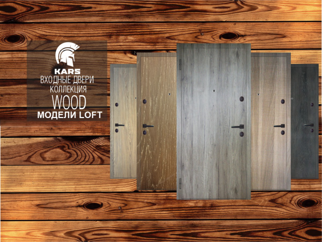 Беннер Двери Карс