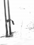 Работа 2930421