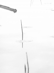 Работа 2930415