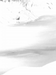 Работа 2930395