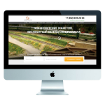 Настройка контекстной рекламы Yandex.Direct. Ограниченный бюджет