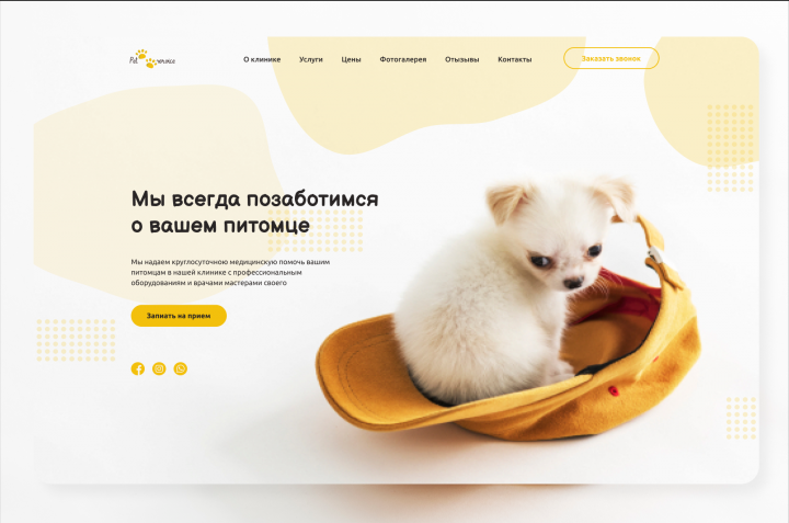 Landіng Page для ветеринарной клиники