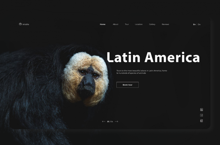 Первый экран с WOW-эффектом  - туристическая фирма