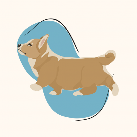 Работа 4075479