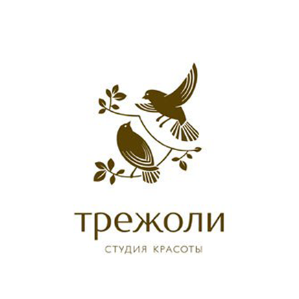 Трежоли - студия красоты (2016)