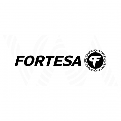 Fortesa | Великие Луки/RU