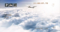 Fly