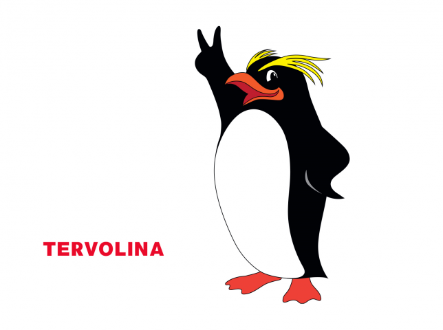 Tervolina